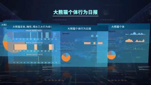 它证明卡奥斯不仅提供了连接工具